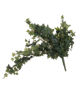 Ivy Pick