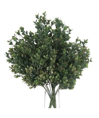 Red Tipped Leaf Spray