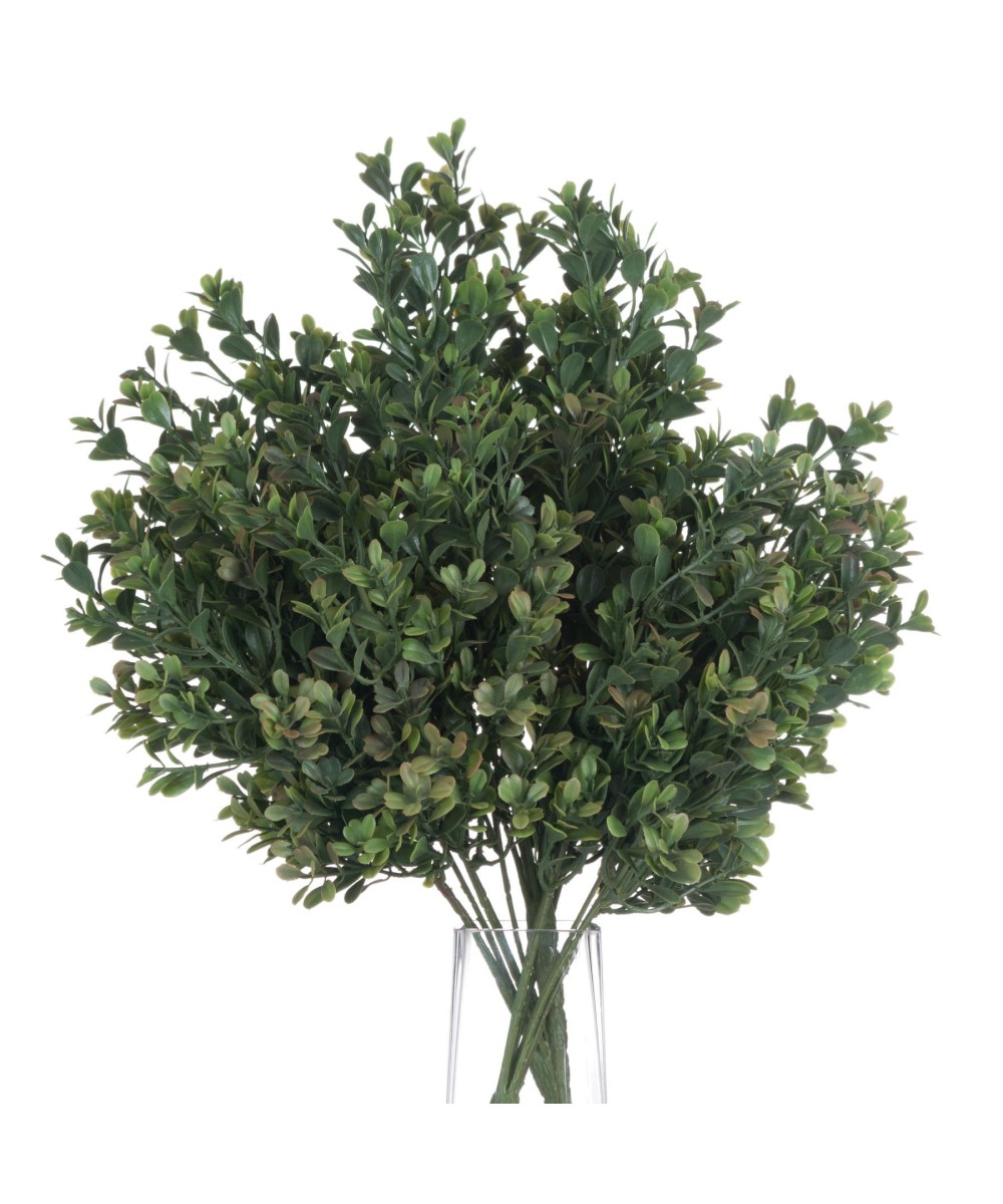 Red Tipped Leaf Spray