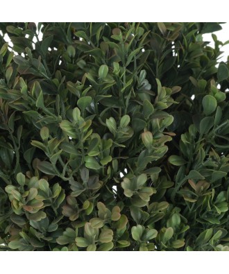 Red Tipped Leaf Spray