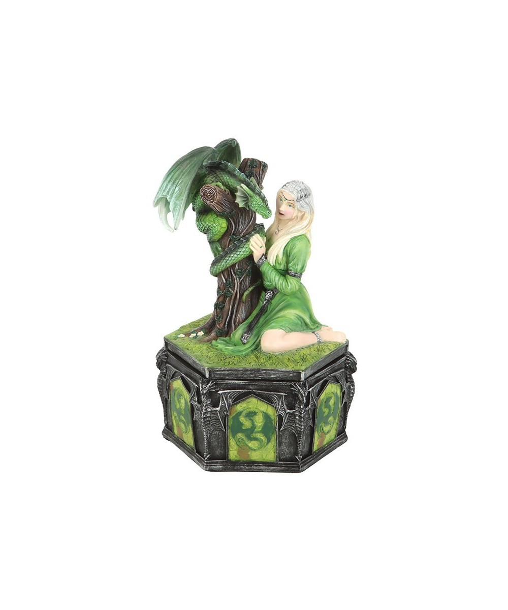 Dragon Friendship Summer Box By Anne Stokes