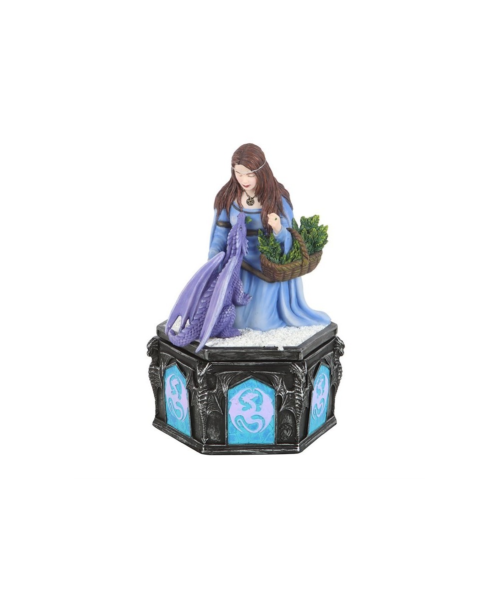 Dragon Friendship Winter Box By Anne Stokes