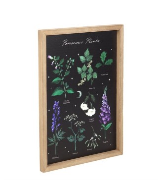 Poisonous Plants Framed Wall Art Print