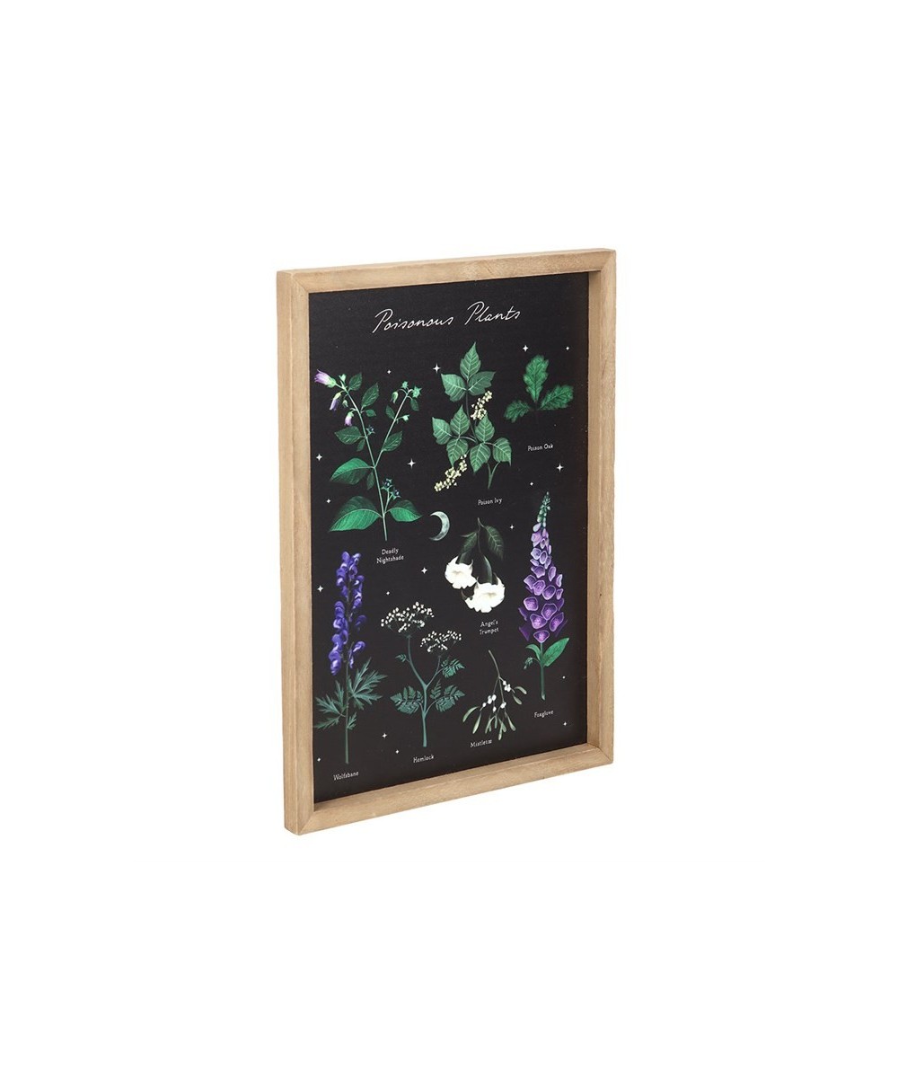 Poisonous Plants Framed Wall Art Print