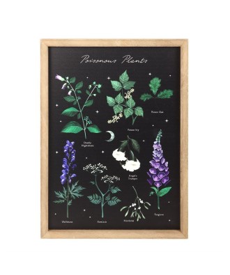 Poisonous Plants Framed Wall Art Print