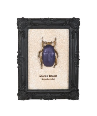 Scarab Beetle Framed Wall Art Print