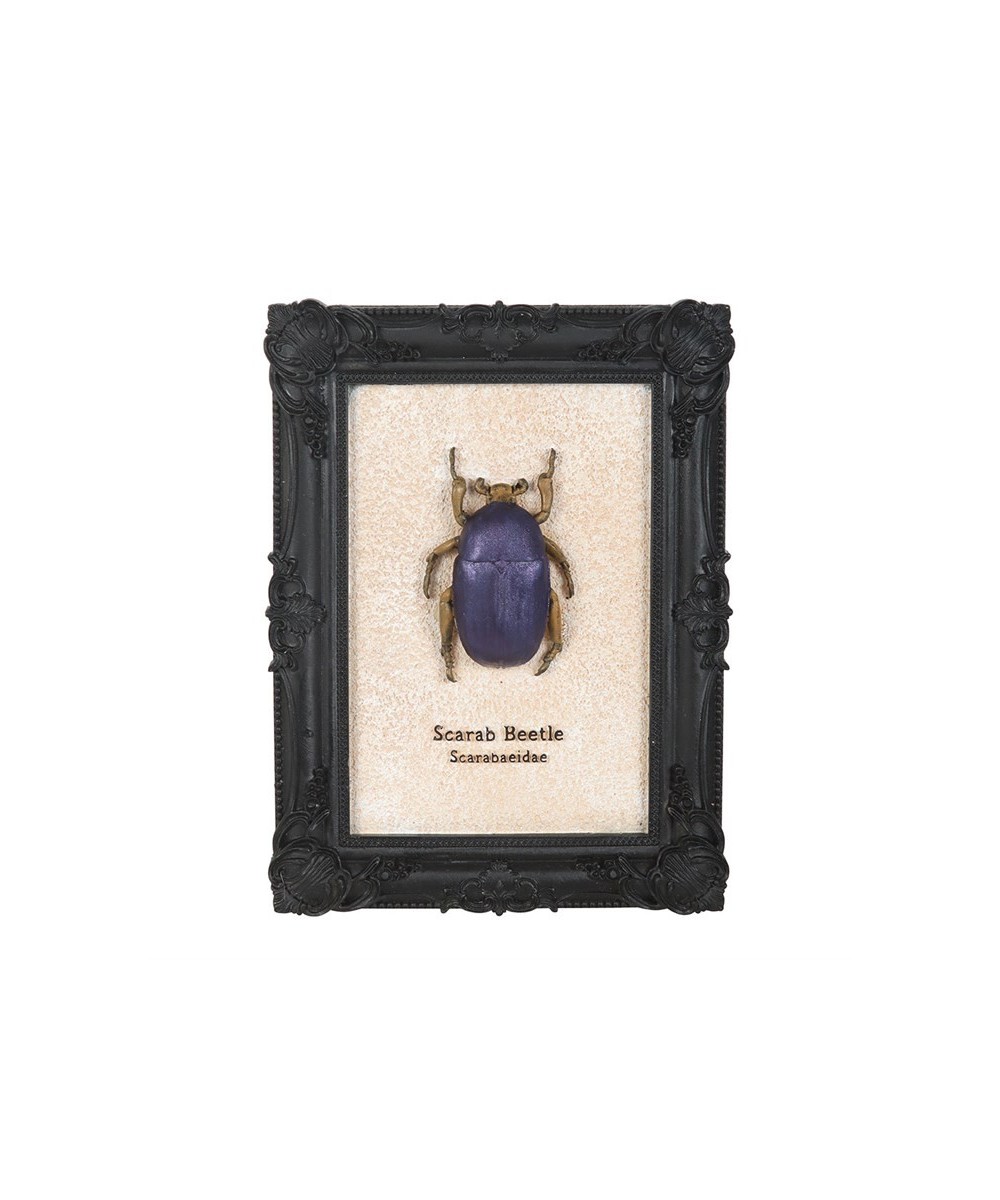 Scarab Beetle Framed Wall Art Print