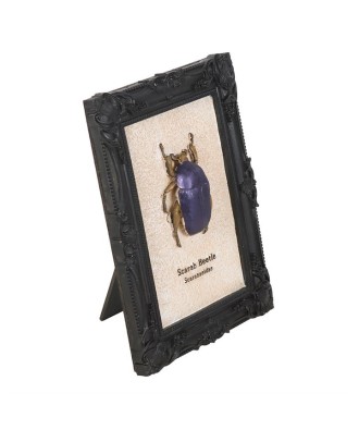 Scarab Beetle Framed Wall Art Print