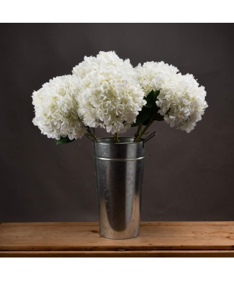 Oversized White Hydrangea