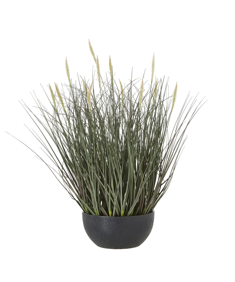 Fountain Grass Plant In Pot