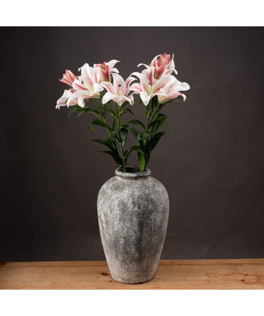 Stargazer Lily