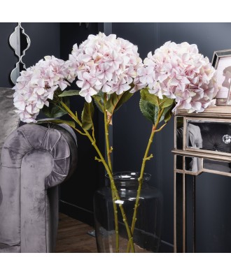 Giant Pink Hydrangea