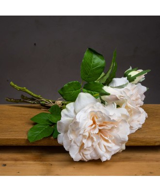 Peachy Cream Short Stem Rose Bouquet