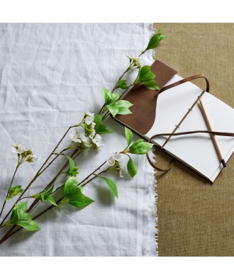 Tall Mock Orange Spray