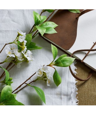 Tall Mock Orange Spray